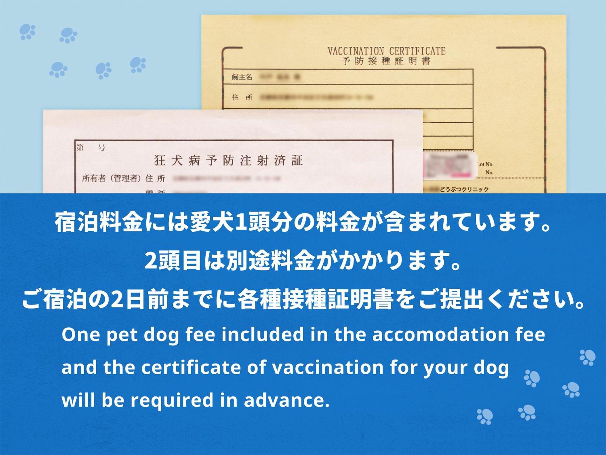 Hotel Anddoggy Kyoto Nijo Rom bilde