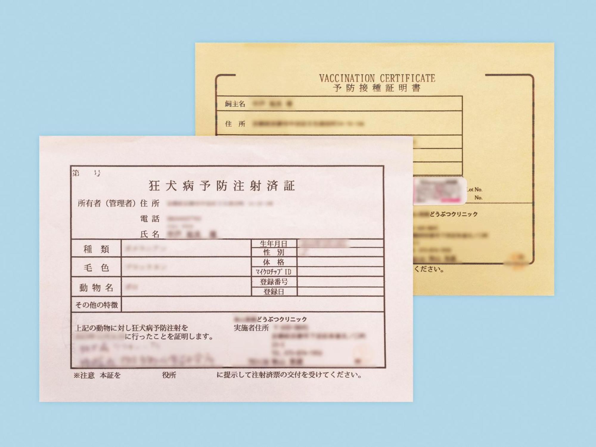 Hotel Anddoggy Kyoto Nijo Eksteriør bilde