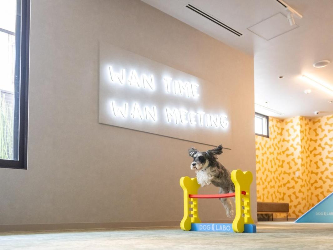 Hotel Anddoggy Kyoto Nijo Eksteriør bilde