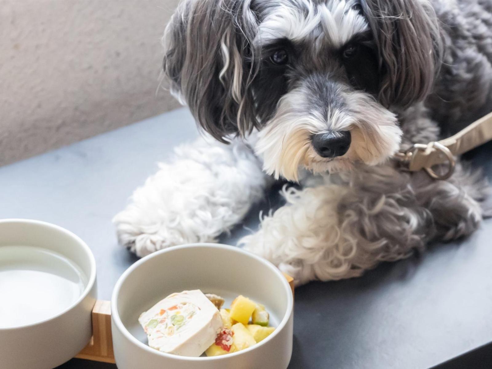 Hotel Anddoggy Kyoto Nijo Eksteriør bilde