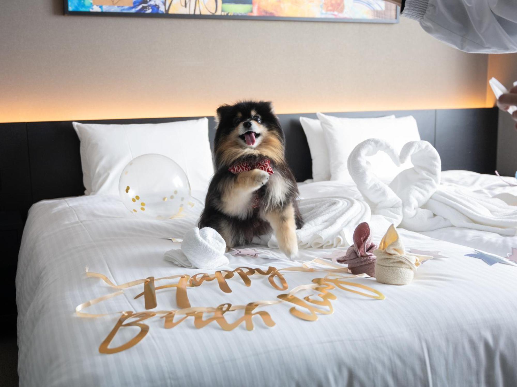 Hotel Anddoggy Kyoto Nijo Eksteriør bilde