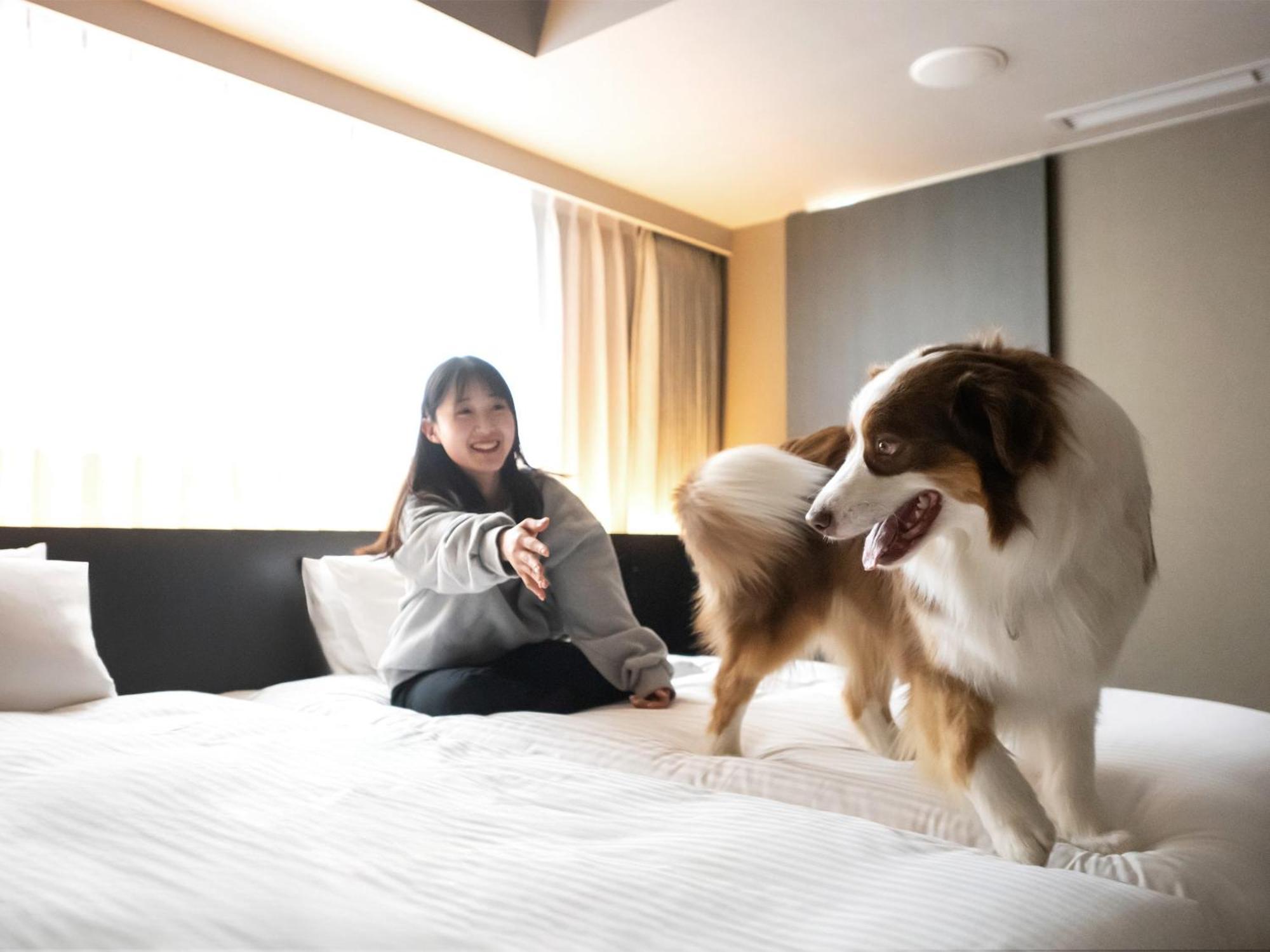Hotel Anddoggy Kyoto Nijo Eksteriør bilde